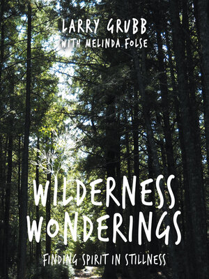 cover image of Wilderness Wonderings